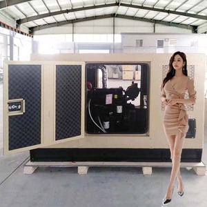 Precio de fábrica 40kw 45kw 50kw 60kw Generador diésel silencioso con motor Werifang Generador diésel de 25kw - Product Image 1