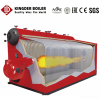 Ketel Uap Baja Tahan Karat Berbahan Bakar Batubara Industri Tekanan Rendah Horizontal SZS Double Drums 20ton/jam dengan Pembakar Otomatis