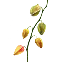 Tige de fleur de lanterne chinoise artificielle de 115 cm de long, tige de fleur de lanterne décorative
