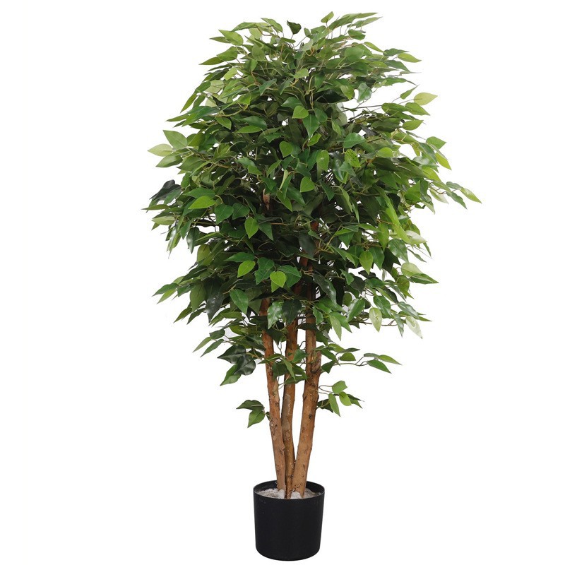 Árbol de baniano de 1,6 metros de altura [verde]