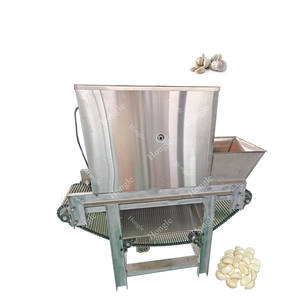 स्वचालित चेन कन्वेयर प्रकार लहसुन पेलर मशीन | औद्योगिक लहसुन चेन प्रसंस्करण उपकरण - Product Image 2