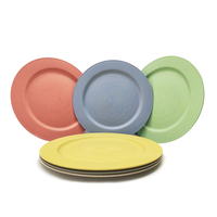 Assiettes écologiques en paille de blé et plastique PP de qualité alimentaire de 10 pouces pour restaurants et camping, modèle MKY Sdl-071