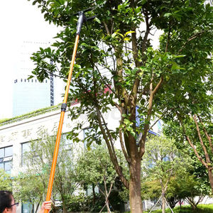 Cosechadora profesional de aceitunas/Recolección eléctrica de Frutas/Abbacchiatore/ <span class=keywords><strong>Vareador</strong></span> de olivos - Product Image 5