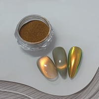 Poudre magnétique multifonctionnelle ajustable pour ongles Water Light Eye