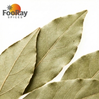 Hojas de Laurel Secas 100% Puras para Sopas, Guisos, Carne Estofada, Hierba Aromática para Cocinar, Bolsa de 15g, Marca Personalizada, Se Acepta OEM