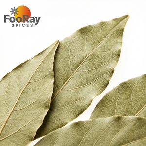 ใบกระวานแห้งบริสุทธิ์ 100% สำหรับซุป ตุ๋นเนื้อ อาหารปรุงรส สมุนไพรปรุงอาหาร กลิ่นหอม บรรจุซอง 15 กรัม รับผลิตแบรนด์ตามสั่ง (OEM) - Product Image 3