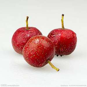 Бесплатный образец, 5% экстракт фруктов боярышника, порошок экстракта ягод боярышника - Product Image 3