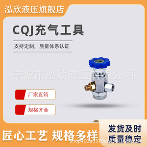 Hongxin Nitrogen Charging <b>Tool</b> 25-40Mpa For <b>Shearing</b> Machines Hydraulic Accumulator - Product Image 4