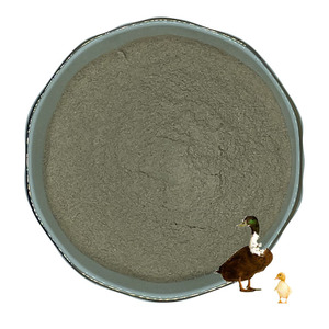 <strong>Probiotics</strong> Powder <strong>Price</strong> Bacillus Subtilis Fermentacin Probiotic for Pig