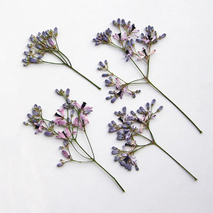 Chinaberry fleur Branches séchées fleur pressée pour résine époxy accessoires bricolage signet cadre Photo feuille Art matériaux - Product Image 1