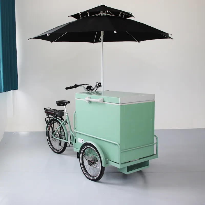 Lithium Batterij Vriezer Fiets Ijs Fiets Trailers 3 Wiel Gelato Winkelwagen Cargo Bike Voor Koude Dranken