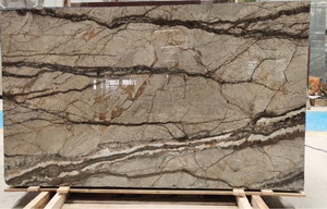 Prix du marbre gris argenté de la rivière de Normandie de Florence naturelle - Product Image 5