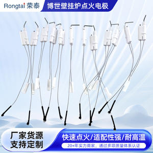Electrodo de Encendido Rongtai 10x100mm de Acero Inoxidable, Repuesto para Quemador de Gas para Calderas - Product Image 2