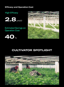 IP66 classé sans taxe DLC approuvé Dimmable hauts rendements 8 barres 720 watts usine en aluminium à spectre complet élèvent la lumière - Product Image 4