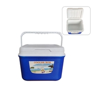 LIHENG Glacière Isotherme Portable en Gros, Capacité 13L, pour Camping et Stockage Alimentaire en Extérieur avec Poignée