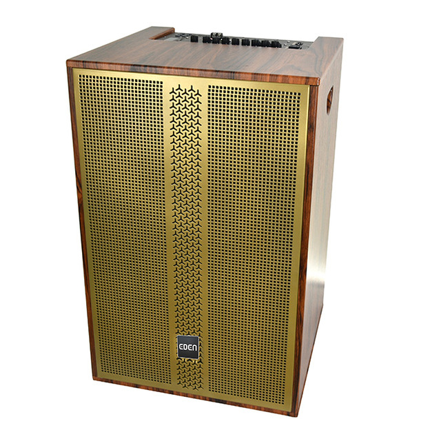 EDEN 15 Inch Big Power Professional Audio Speaker Wooden Cabinet Blue Tooth DJ Karaoke Trolley Wood Speakers With Wireless Mic