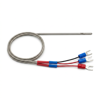 Sonde thermocouple de type J de précision avec câble personnalisable pour la surveillance thermique