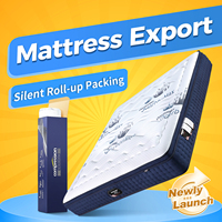 Matelas en mousse pliable Euro sur mesure, livré en boîte, pour hôtels et chambres à coucher, mobilier de maison, marque Master Ben