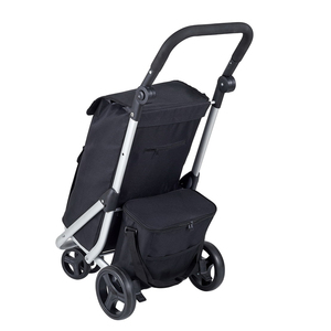 <span class=keywords><strong>Chariot</strong></span> <span class=keywords><strong>de</strong></span> courses pliable et compact <span class=keywords><strong>à</strong></span> <span class=keywords><strong>roulettes</strong></span>, en métal, avec poignée réglable, idéal pour la mode et les voyages - Product Image 1