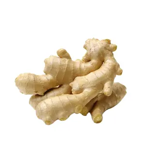 High quality fresh ginger and air dried ginger from China ginger supplier