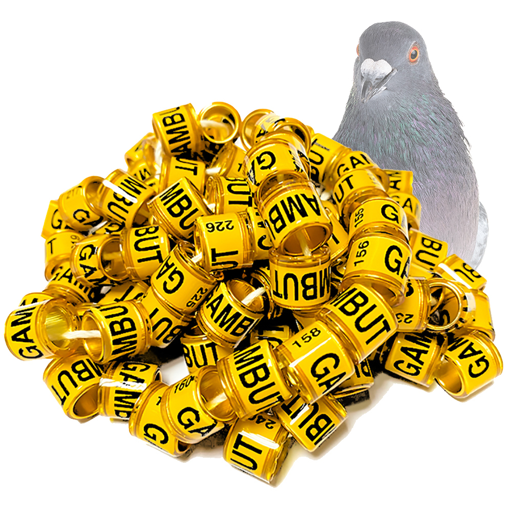 Or