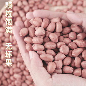 Noix de couleur rouge décortiquées de grande taille d'arachides chinoises comestibles pour le matériel alimentaire - Product Image 6