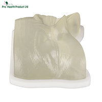 Maniquí de entrenamiento de inyección facial superior transparente con vasos sanguíneos simulados