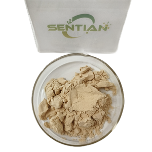 Platn Extracto de mantequilla de cacahuete proteína en polvo mantequilla de cacahuete en polvo - Product Image 1