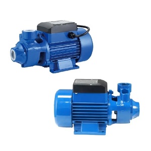 DAYUAN ad alta pressione 0.16hp 0.125kw 1 pollice 220V 50HZ pompa dell'acqua elettrica periferica a bassa pressione pompa dell'acqua pulita di superficie - Product Image 3