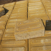 Pavé en béton écologique de brique de rue enduisant la brique en béton perméable