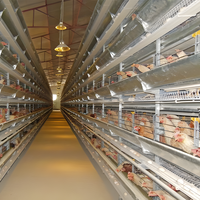 Elevage automatique de volailles Maison moderne pour poules de chair Hangar Poulet Couche Batterie Cage Cochon Kits Cadre Hangar Bovins Mouton Cheval