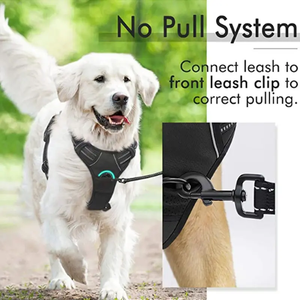 OEM özel lüks Pet köpek eğitim koşum seti geri çekilebilir yaka tasma baskılı desen köpek tasması ve tel tasma ile - Product Image 2