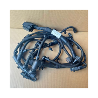 Arnés de Cableado para Módulo de Control Electrónico de Motor DCEC QSG12 para Maquinaria de Ingeniería, 5575136