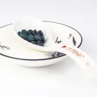 Comprimés de perte de poids OEM/ODM avec extrait de feuille de lotus et d'oolong de cassia, 2 comprimés par dose