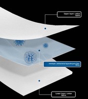 Matelas Pliant Haut de Gamme pour Hôtels, Matelas Doux Matelassé Toutes Saisons en Coton Rembourré Antibactérien Sain, Taille Queen, Vente en Gros Fabricant