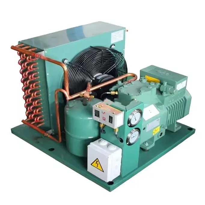 cheap 3hp 5hp 6hp 10hp Germany Air Cooled Compressor Condensing Unit for Cooling System refrigeration