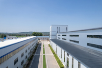 Entrepôt US / EU Poudre d'astragale naturelle de haute qualité