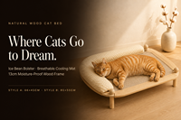 Lit surélevé pour chat en bois massif avec tapis rafraîchissant interchangeable et tapis en jute, transat d'intérieur pour animaux de compagnie, beige crème