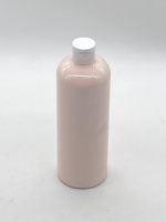 Peinture acrylique de haute qualité EABOR, 500 ml, emballage en bouteille en plastique, peinture acrylique professionnelle pour artistes