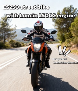 Zongshen & NIXIMI – Motos tout-terrain à essence 4 temps homologuées pour la route, excellent rapport qualité-prix, pour adultes, avec moteur ES250 <span class=keywords><strong>250cc</strong></span> refroidi par huile 4 temps - Product Image 5