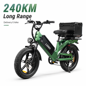 Bicicleta Eléctrica de Carga D55 con Neumáticos Gruesos de 20 Pulgadas, 750W, 48V55Ah, E-MTB, 240km de Autonomía, Bicicleta de Reparto OEM, Venta al Por Mayor - Product Image 1