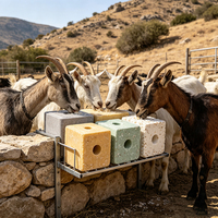 Bloc de sel minéral personnalisé pour animaux, sel à lécher pour l'alimentation du bétail, soin nutritionnel pour la ferme