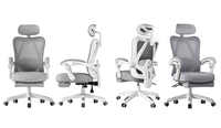 Chaise de bureau ergonomique conforme à la norme EN1335, chaise de travail professionnelle en mesh avec appui-tête 3D et soutien lombaire dynamique