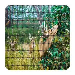 To Australia 2M X 50M Roll Pp Plastic Deer Poultry Fence