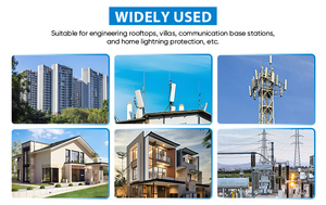 Sấm sét thép không gỉ sét sét sét điện thanh ánh sáng bảo vệ điện arrester - Product Image 6