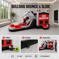 Château gonflable commercial avec toboggan pour enfants, location pour fêtes, aire de jeux extérieure, château gonflable pour événements