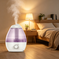 Diffuseur d'huiles essentielles à ultrasons, humidificateur ionisant multifonctionnel, barre d'oxygène, veilleuse portable pour voiture, bureau, hôtel