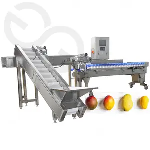 GELGOOG อุปกรณ์ Mango Grading Machine เชอร์รี่ผลไม้มะเขือเทศเครื่อง