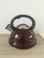 Bouilloire à eau en acier inoxydable 304 écologique, pleine couleur, pour la maison et les hôtels, utilisation sur cuisinière