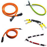 Système de stockage d'énergie (ESS) – Câblage d'alimentation CC, communication CAN Bus, protection en caoutchouc PBT, sortie pour ordinateur et moto